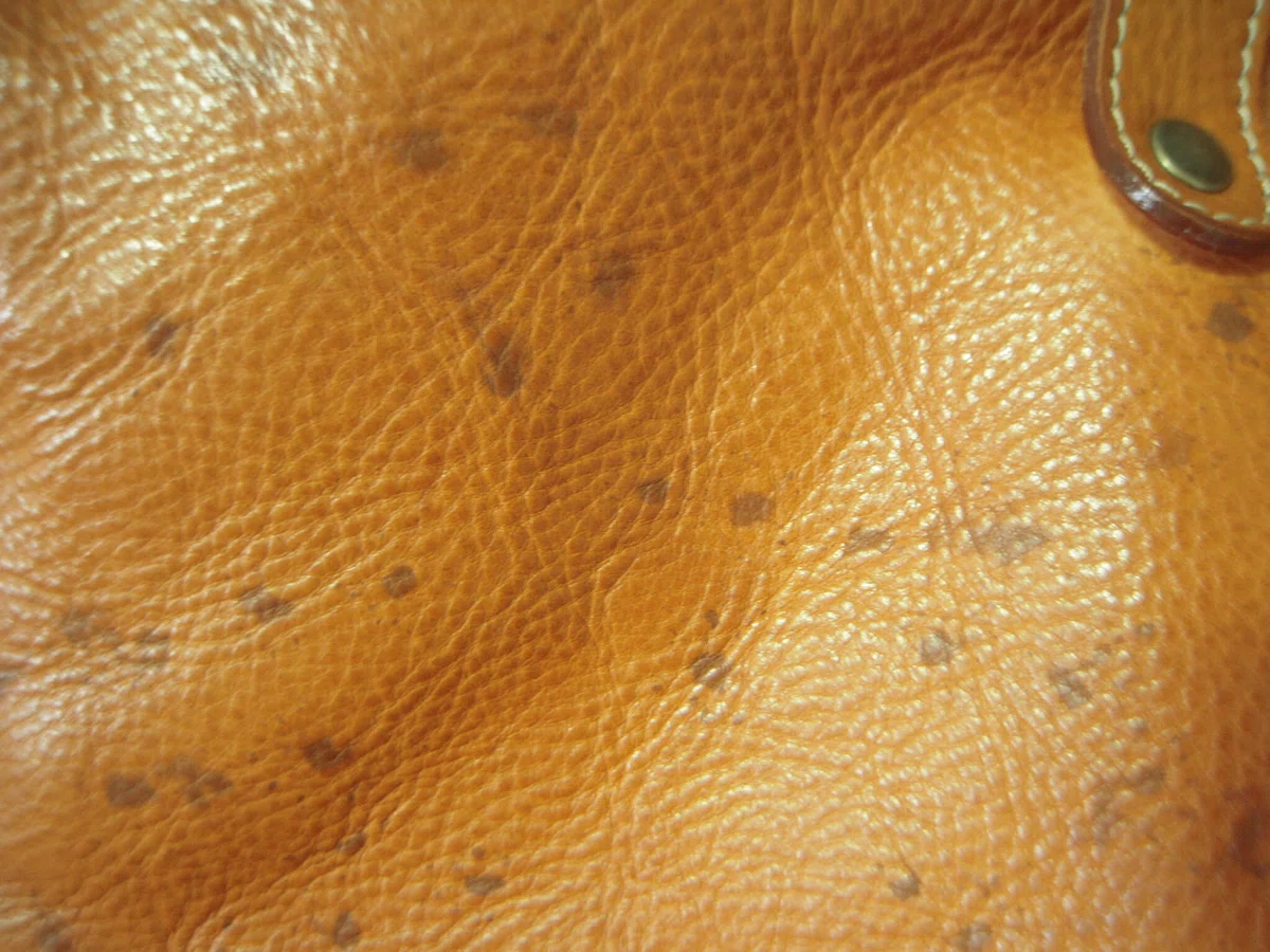 施工前の革表面に見られる黒いカビの斑点と茶色い染み
