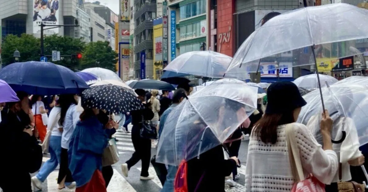 雨に濡れた革・デニムバッグのケアの紹介画像